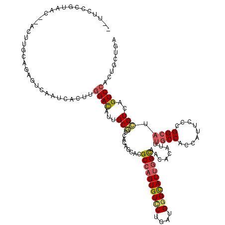 secondary structure