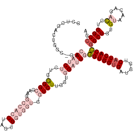 secondary structure