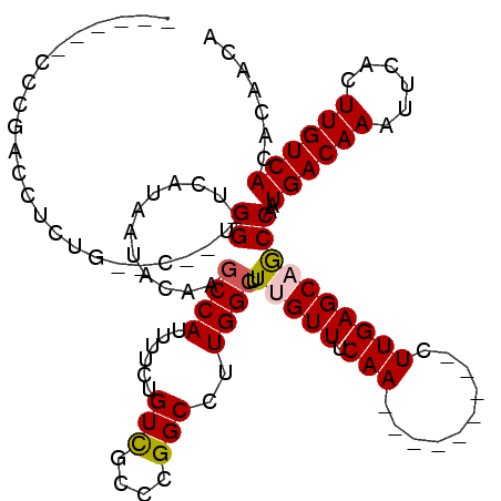 secondary structure