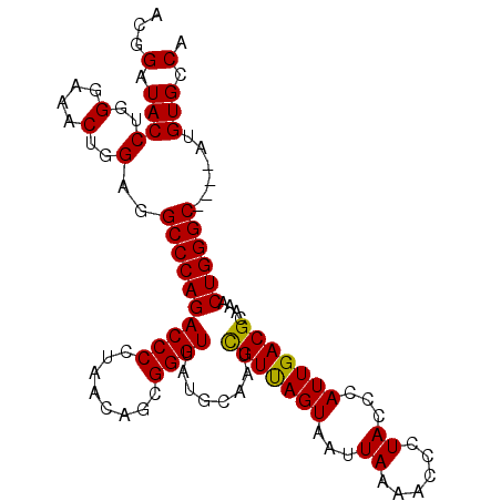 secondary structure
