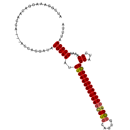 secondary structure