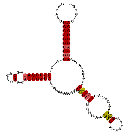 secondary structure