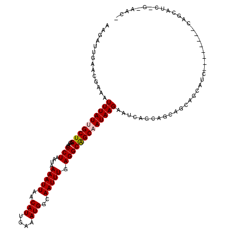 secondary structure