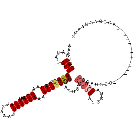 secondary structure
