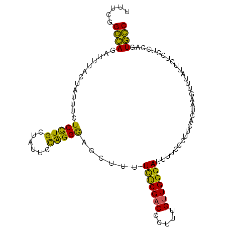 secondary structure