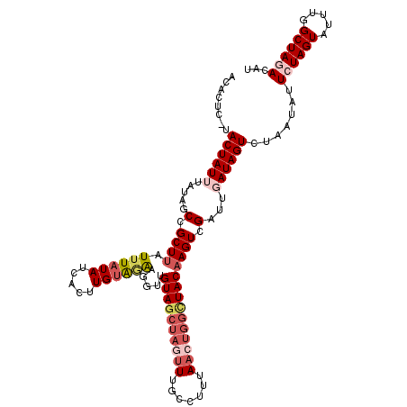 secondary structure