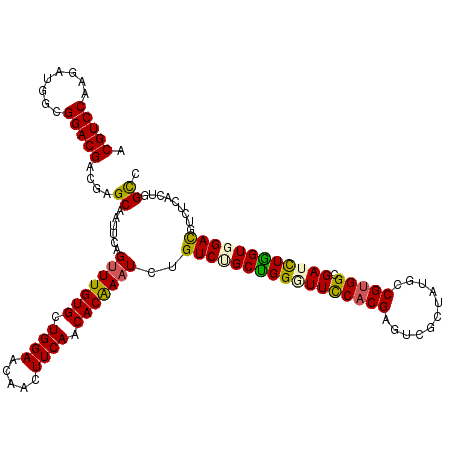 secondary structure