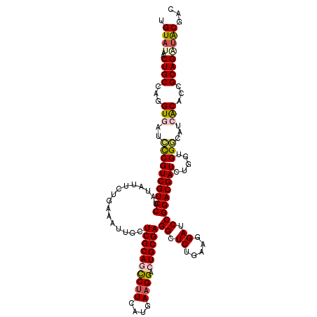 secondary structure