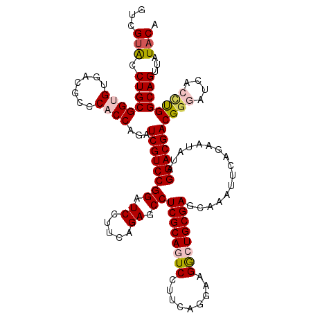 secondary structure