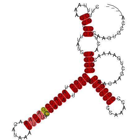 secondary structure