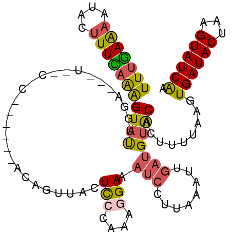 secondary structure