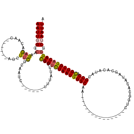secondary structure