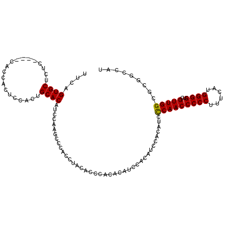 secondary structure