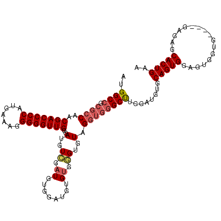 secondary structure