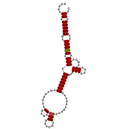 secondary structure