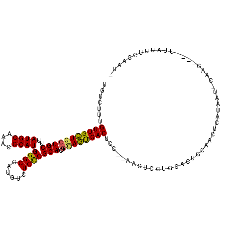 secondary structure