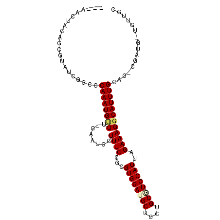 secondary structure