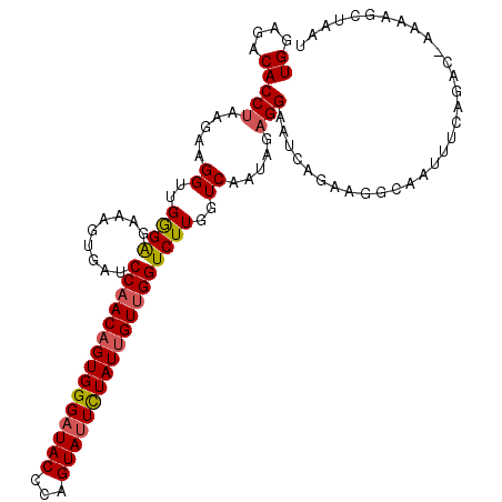 secondary structure