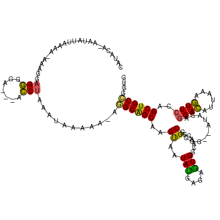 secondary structure
