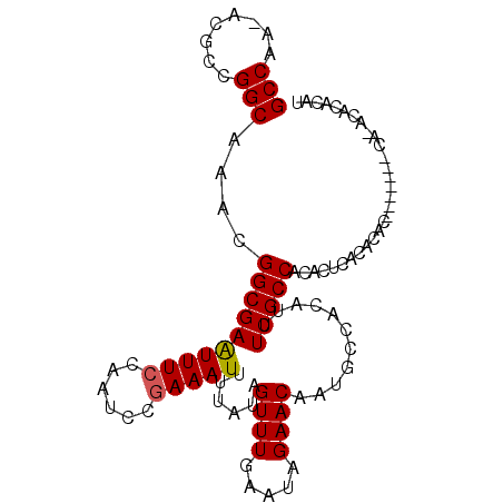 secondary structure