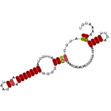 secondary structure