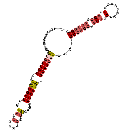 secondary structure