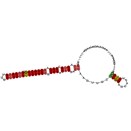 secondary structure