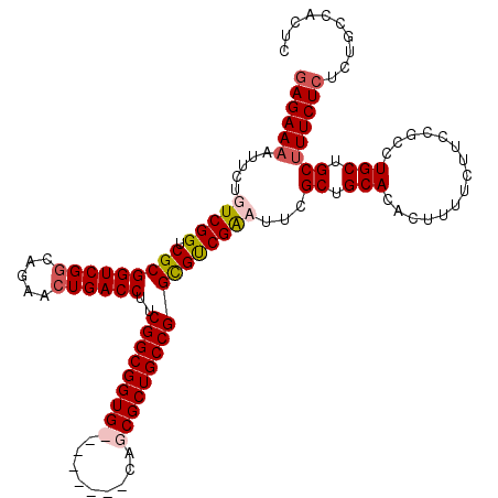 secondary structure