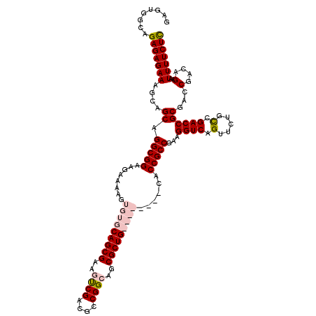 secondary structure