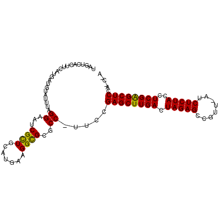 secondary structure