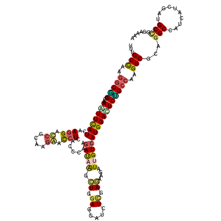 secondary structure