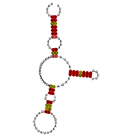 secondary structure