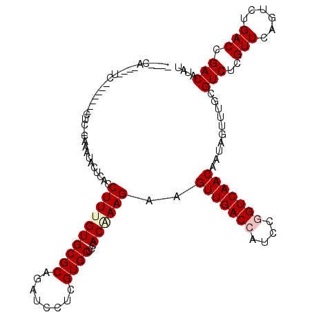 secondary structure