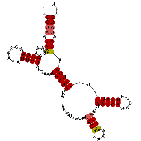 secondary structure
