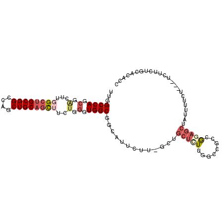 secondary structure