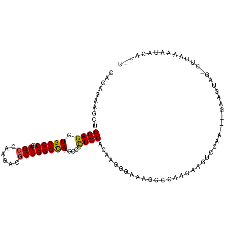 secondary structure