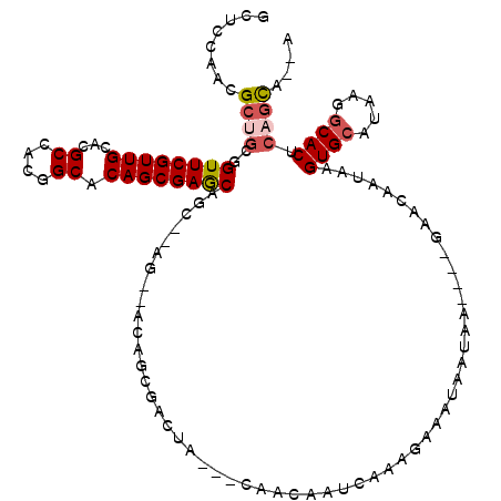 secondary structure