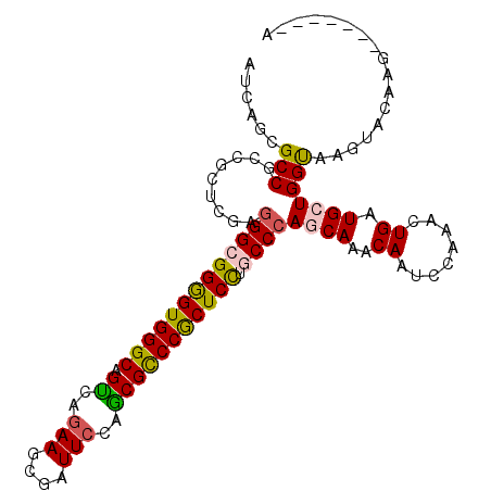 secondary structure
