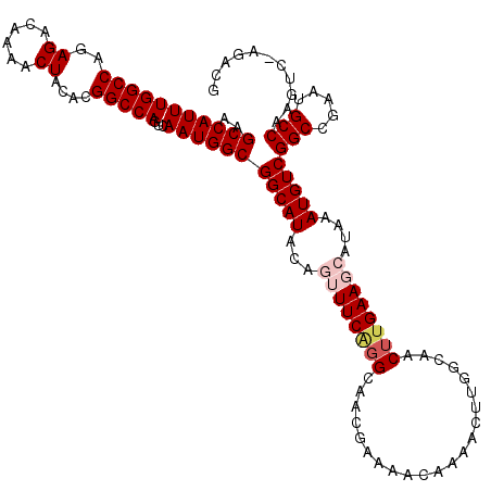 secondary structure