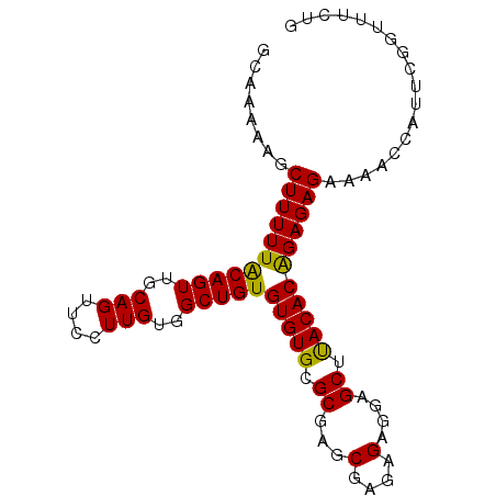 secondary structure