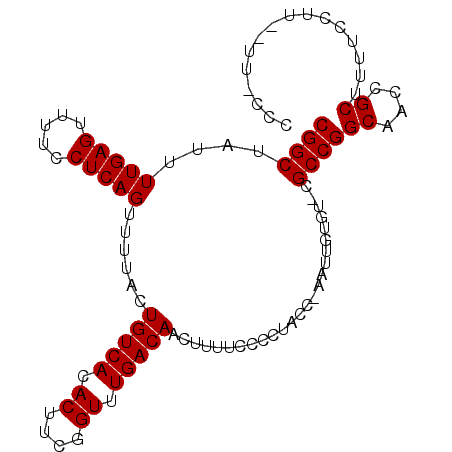 secondary structure