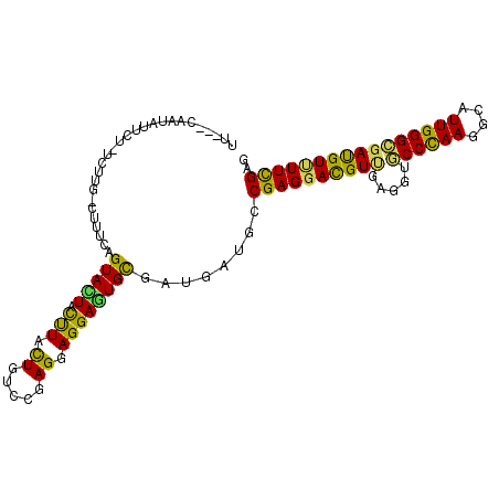 secondary structure