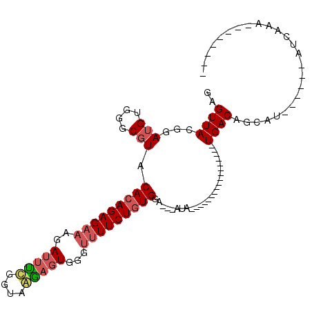 secondary structure