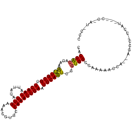 secondary structure