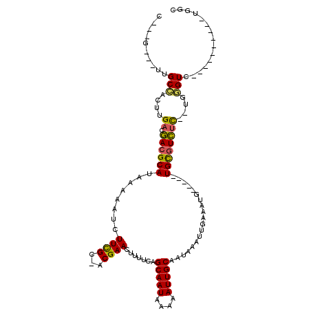 secondary structure