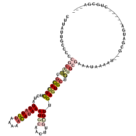 secondary structure