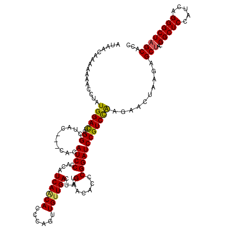 secondary structure