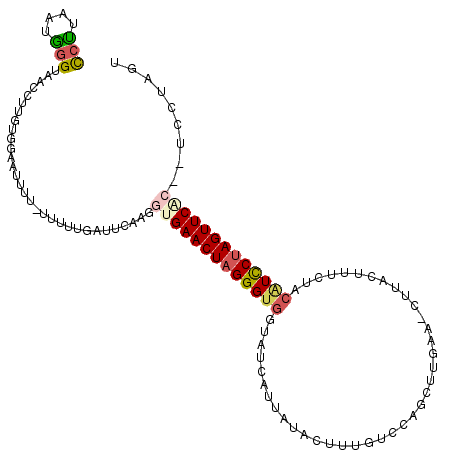 secondary structure