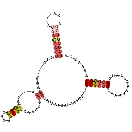 secondary structure
