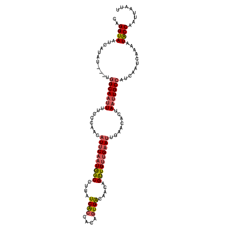 secondary structure